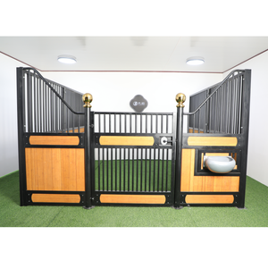 Cura del cavallo, bestseller per gli appassionati di equitazione nelle maggiori città europee, venduto a un prezzo contenuto ma con un cavallo di ottima qualità in vendita. - Product Image 5