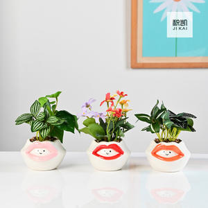 सिरेमिक प्यारा कार्टून पशु रसीला बर्तन हाथ से चित्रित ओपल पांडा व्यक्तिगत रचनात्मक बगीचे बर्तन - Product Image 4