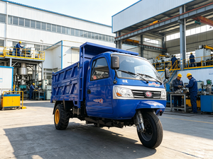 Triciclo Diesel per Carichi Pesanti con Accensione Elettrica per Trasporto Merci su Strade Difficili - Prezzo di Fabbrica - Product Image 2