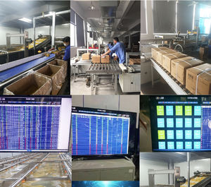 Colle thermofusible à haute résistance aux UV collante pour carte de souris Rat - Product Image 5