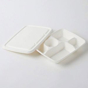 Barquettes repas rectangulaires jetables biodégradables et compostables en bagasse de canne à sucre, assiettes à 6 compartiments, boîte en carton blanc - Product Image 2