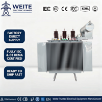 Transformateur électrique triphasé immergé dans l'huile de haute qualité 11 kV 100 kVA 200 kVA 300 kVA 400 kVA sur mesure pour usage industriel et commercial