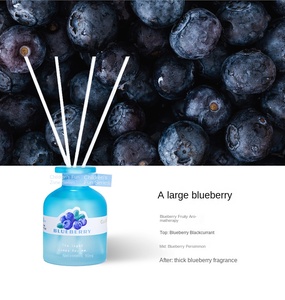 Rafraîchisseur d'air d'intérieur aromatisé aux fruits personnalisé pour la maison, aromathérapie sans fumée, salle de bain d'hôtel, vente en usine - Product Image 6