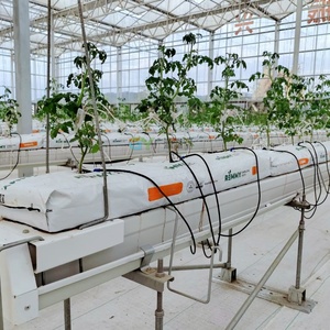 Serre commerciale anti-vent et résistante au gel, <span class=keywords><strong>prix</strong></span> usine, fabrication chinoise pour l'horticulture néo-zélandaise - Product Image 1