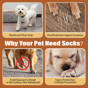 Con Chó vớ chân bao gồm chống trượt ngăn chặn bụi bẩn đi ra ngoài tất cả các mùa Claw bao gồm Teddy bichon frans - Product Image 3