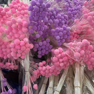 Fleurs naturelles très demandées : Craspedia Billy Button (Boule dorée) stabilisée pour arrangements floraux de mariage - Product Image 1