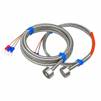 Sonde de température magnétique industrielle PT100, thermocouple de type K, câble OEM/ODM en acier inoxydable IP65