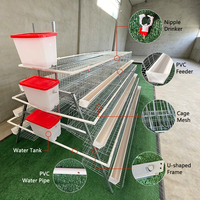 Système de cages à poulets de type A à 3/4 niveaux avec abreuvoirs à tétine et mangeoires – Équipement intelligent pour élevages avicoles à haute efficacité