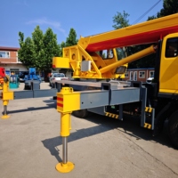 Grue mobile hydraulique sur chenilles de 12 tonnes sur mesure pour projets municipaux, transplantation d'arbres et travaux d'assainissement urbain