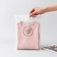Sac étanche personnalisé avec petite fermeture éclair, sac d'emballage pour vêtements imprimé sur mesure, sac à fermeture éclair transparent givré pour jouets