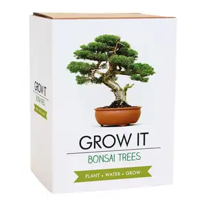 Unique Indoor Gardening Set Kit For Children Mini Planting Garden Bonsai Tree Starter Kit For Kids