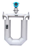 Débitmètre massique Coriolis OEM/ODM personnalisable, haute précision 0,2 %, signal 4~20 mA/impulsion/RS485, pour huile/eau/liquide