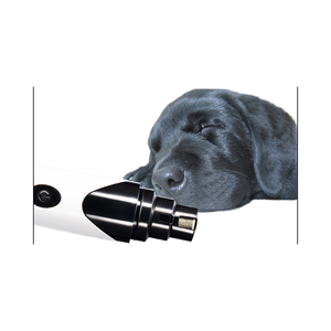 Tagliaunghie elettrico <span class=keywords><strong>per</strong></span> animali domestici ABS cane e gatto tagliaunghie <span class=keywords><strong>per</strong></span> toelettatura carica scatola di <span class=keywords><strong>alimentazione</strong></span> imballaggio forniture <span class=keywords><strong>per</strong></span> la pulizia del cane - Product Image 1