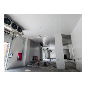 Chambre froide de grande capacité de 1000 tonnes avec unités de condensation à vis, panneaux PIR de 150 mm, pour usine de traitement logistique et congélateur walk-in - Product Image 4