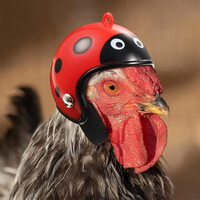 Accesorios ABS, Divertido Casco Protector para Mascotas, Gorra Protectora para Aves, Sombrero de Protección Solar y contra la Lluvia, Casco para Pollos