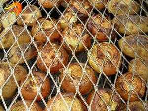 Nhà Sản Xuất Cung Cấp Thép Không Gỉ Mở Rộng Lưới Thịt Nướng Net Với Uốn Cho Cắm Trại Ngoài Trời Kim Loại BBQ - Product Image 5