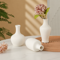 Vase en céramique blanche unie, petit format, pour graffiti DIY, décoration florale pour la maison et l'hôtellerie, finition biscuit