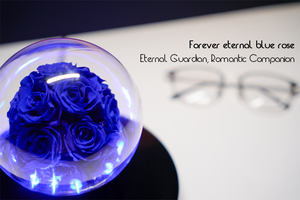 ורד נצחי מרחף על ידי ריחוף מגנטי, קישוט פרחוני זוהר ומעודן לחתונה או ליום האהבה. - Product Image 6