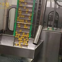 Système d'alimentation et de convoyage de bouchons en acier inoxydable SS304 pour l'impression et l'identification par jet d'encre continue des bouchons sur les lignes de production de boissons