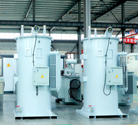 Régulateur de tension monophasé AVR pour systèmes de production d'énergie industrielle en Amérique du Sud et au Moyen-Orient, capacité nominale 11 kV, 110 kVA, 100 A
