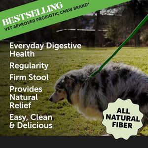 Suplemento en polvo de fibra de calabaza OEM/ODM para perros-Probiótico para perros antidiarrea natural para heces más firmes y digestión saludable - Product Image 2