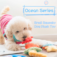 Divers modèles d'animaux de l'océan Jouet en peluche pour chien Petits jouets à mâcher pour chiot en peluche avec couineur