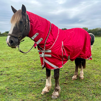 Couverture d'extérieur imperméable verte pour cheval avec col en fausse fourrure, résistante à la pluie, pour l'hiver