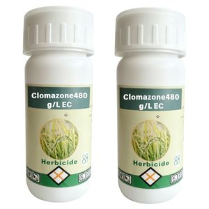 Clomazone 480g/L <span class=keywords><strong>Herbicida</strong></span> <span class=keywords><strong>para</strong></span> Suelo <span class=keywords><strong>para</strong></span> Campos de Soja, Arroz y Tabaco, Palabras Clave: Herbicidas <span class=keywords><strong>para</strong></span> Arroz, Herbicidas Agrícolas - Product Image 1