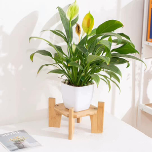 <span class=keywords><strong>Support</strong></span> de Présentation en Bambou pour Distributeur d'Eau et de Boissons, Décoration de Table, <span class=keywords><strong>Support</strong></span> de Pot de Fleurs et de Plantes pour la Maison - Offre Spéciale - Product Image 3