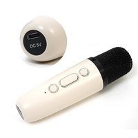 Mini haut-parleur karaoké portable avec microphone sans fil et lumières colorées pour enfants et adultes, métal actif RGB