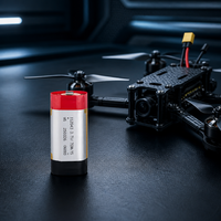 Batterie lithium-ion rechargeable LiCoO2 cylindrique polymère souple personnalisée en usine 3,7 V 1000 mAh 112043