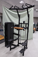Machine de musculation assistée SK LZN3 pour tractions et dips, idéale pour la musculation du haut du corps en salle de sport commerciale et comme équipement d'entraînement multifonctionnel.
