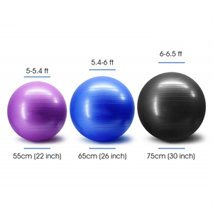 En gros Oem <span class=keywords><strong>Gym</strong></span> Exercice Fitness Balle Équilibre Pvc De Yoga <span class=keywords><strong>Pilates</strong></span> Balle Avec Pompe - Product Image 5
