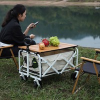 Chariot de camping pliable avec plateau en bois, chariot de transport portable pour pique-nique, pêche, camping, vente en gros d'usine