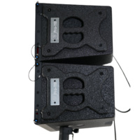 Système de sonorisation Line Array TI PRO AUDIO PRO 110 pour événements sonores intérieurs et extérieurs, promotion de produits, un seul haut-parleur de 10 pouces