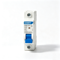 Disjoncteur miniature (MCB) CHINT NXB-63 D20A 1P/2P en cuivre PA66 Courbe D 20A 6kA IP20 Certifié CE CB Stock usine