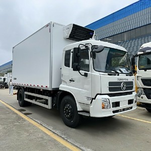 New Dongfeng 12-15 Tons Freezer Van Carrier Refrigerator Truck Sale in Africa - Product Image 1