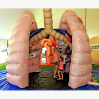 Modèle anatomique gonflable géant commercial à traverser en forme de poumon pour l'éducation médicale et les expositions sur la santé