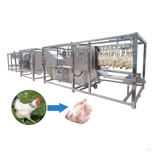 full automatic chicken duck poultry slaughtering processing belt weighing and grading machine for large scale slaughtering house