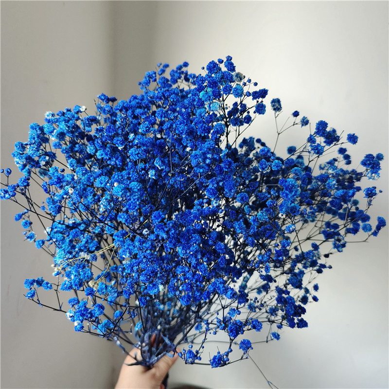 Bleu foncé