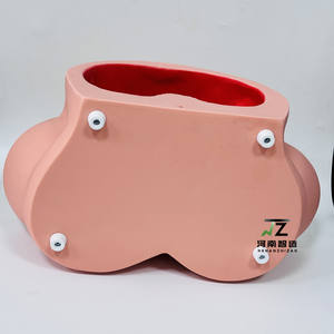 แบบจำลองการฝึกอบรมภาวะคลอดยากทางวิทยาศาสตร์การแพทย์ แบบจำลองการฝึกอบรมการช่วยคลอด แบบจำลองการฝึกอบรมการช่วยคลอด - Product Image 5