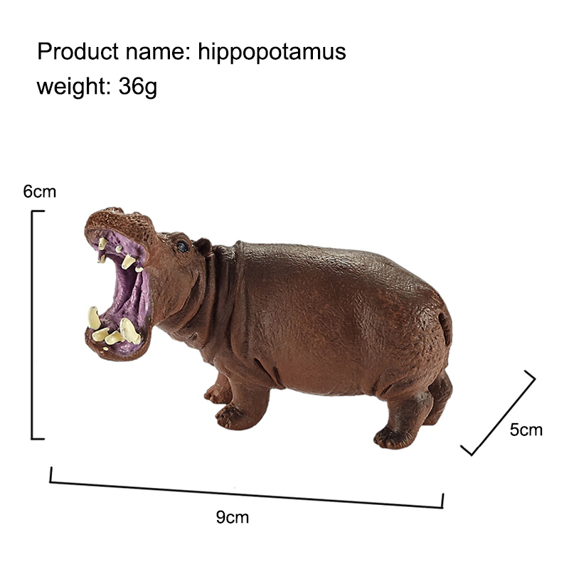 Hipopótamo