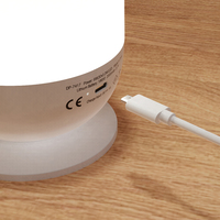 Lanterne de camping d'urgence DP, portable, rechargeable par USB, à suspendre, lampe LED pour tente de camping en plein air