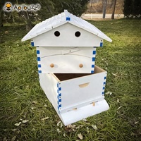 Chinese Painted Wooden Automatic Self-Flowing Beehive 7 Auto Frames Set Bienenstock liefert Imkerei Material Imkerei Colmena