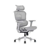 Chaise de bureau ergonomique moderne en maille plastique réglable avec base et repose-pieds en alliage d'aluminium, garantie 5 ans