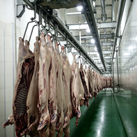 Ligne complète d'abattage de porcs EME, solution tout-en-un, équipement de transformation de la viande de porc pour abattoir, vente chaude