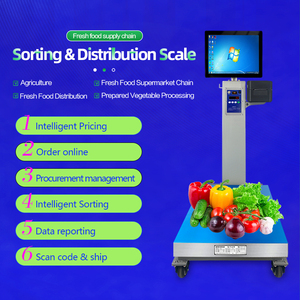 स्मार्ट प्लेटफॉर्म प्रिंट लेबल स्केल बड़ी बैटरी चल 0em विंडोज़/एंड्रॉइड सुपरमार्केट सॉर्टिंग सब्जियां वजन वाले स्केल - Product Image 4