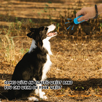 Vente en gros de sifflet d'entraînement pour animaux de compagnie de nouveau design sifflet pour chien de dressage de comportement animal en acier de style tendance sifflet pour chiot et chien