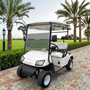Fabricante Personalizado, Venta al Por Mayor, Carro de Golf Eléctrico de 2 Plazas de Buena Calidad para Carreteras No Públicas - Product Image 1