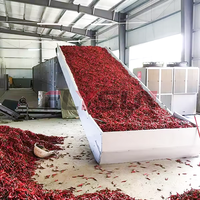 Fabrieksdirecte verkoop groene paprika drooginstallatie met transportband fruitdroger machine groentedroger